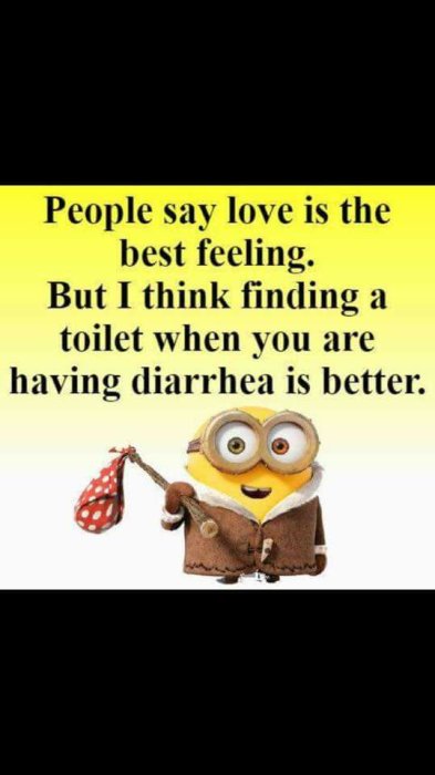 Meme med text om kärlek och toaletter, och en Minion-karaktär med en resväska.