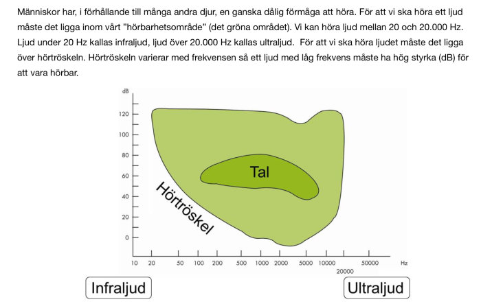 Diagram som visar det mänskliga örats hörselområde, med frekvenser mellan infraljud och ultraljud markerade, samt ”Tal”-området.