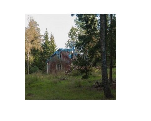 Förfallet småhus på tomt omgivet av träd, potentiellt för renovering eller omvandling till carport/grillplats.