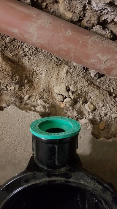 20190404_101259.jpg