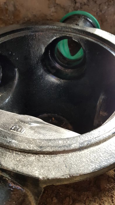20190404_113816.jpg