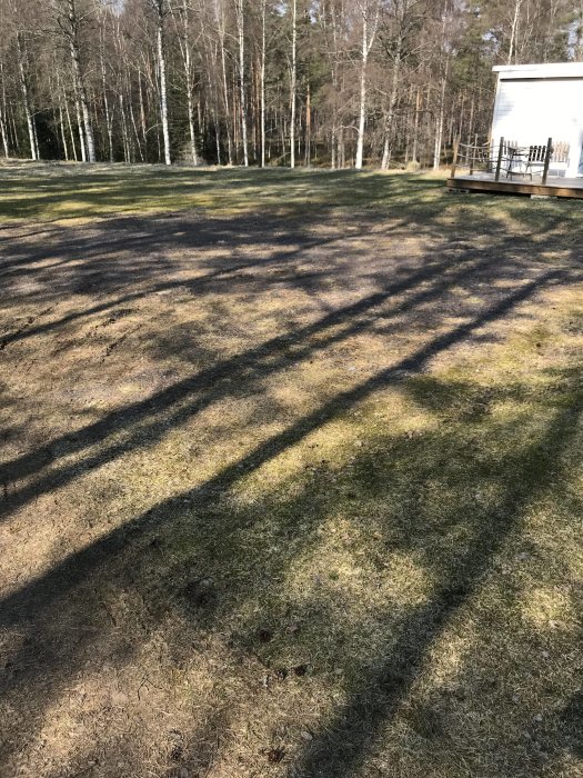 Gräsbevuxen grusväg på landet med trädskuggor, angränsande hus och terrass i bakgrunden.