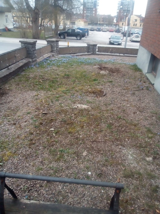 Oskött framsida av hus med grus, sporadisk växtlighet och en mur mot gatan.