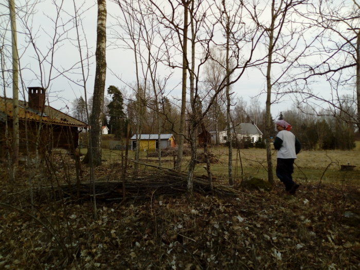 Person som arbetar med att bygga ett traditionellt bonderøvstaket i en trädgård med klippt gräs och träd i förgrunden.