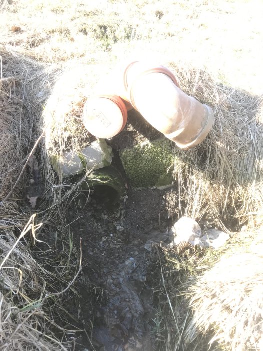 Öppet avloppshål med två terrakottafärgade rörlock liggande vid sidan om i vildvuxet gräs.