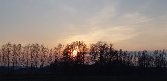 Solnedgång bakom träd med vackra färger på himlen.