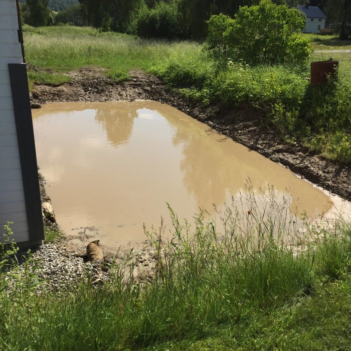 Vattenfylld utgrävning bredvid byggnad, oplanerad efter regn, före grunden gjuts.