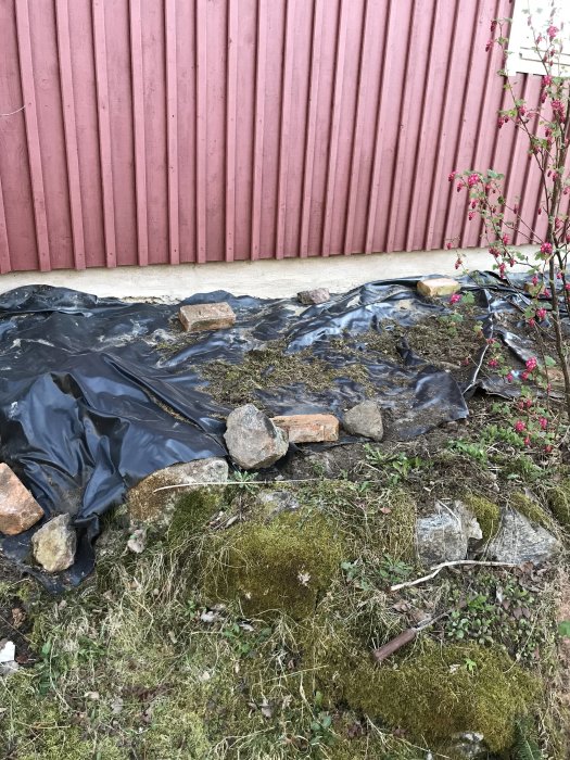 Svart plastduk på marken med stenar och tegelstenar vid en plåtvägg och växande mossa.