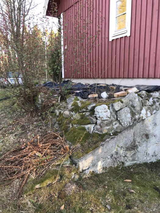 Trädgårdshörn med övervuxen stenmur, plastduk, grenar och husvägg i bakgrunden.