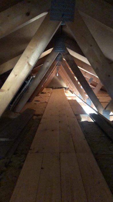 Utsikt längs en trägolv passage på vinden med synliga takstolar och isolering.