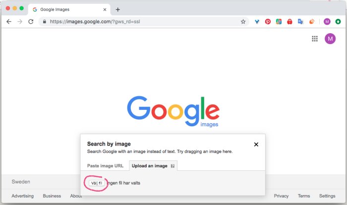 Skärmdump av Google Bilder-sökning med markerad 'Välj fil'-knapp för bilduppladdning.