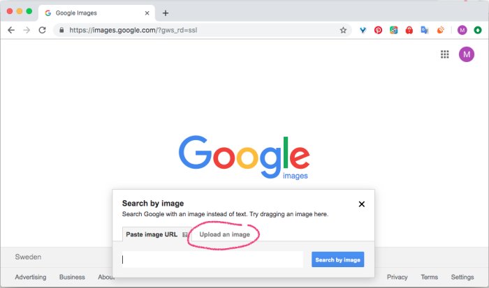 Skärmdump av Google Bilder med ett markerat alternativ för att ladda upp en bild för bildsökning.