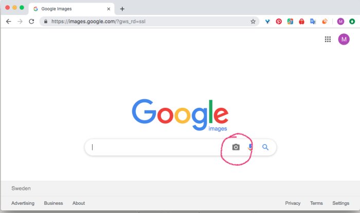 En skärmdump av Google Bilder-sökwebbsida med markerad kameraikon för bildsök.
