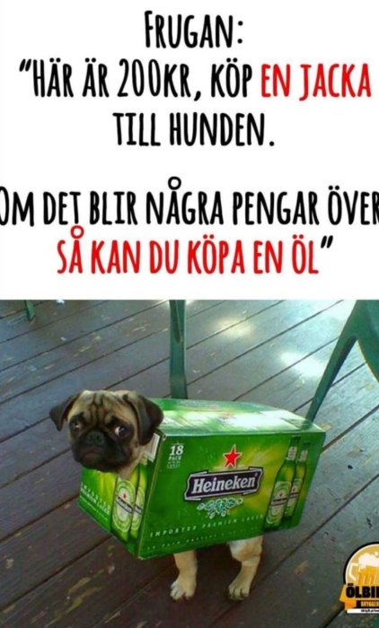 Mops i en Heineken-ölkartong som hundjacka på en träveranda, humoristisk text ovanför.