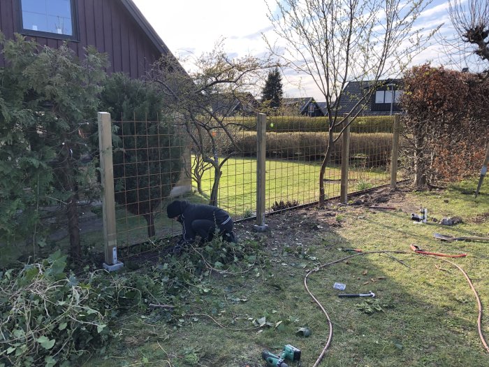 Person som installerar armeringsnät mellan trästolpar i trädgård, halvfärdigt staketprojekt med byggmaterial på marken.