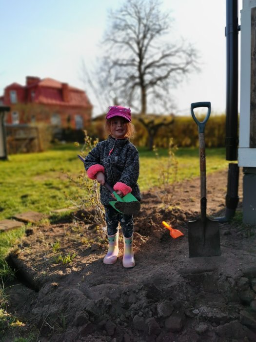 Ett barn står i en uppgrävd rabatt och håller en liten spade med jord, bredvid en större spade i marken.