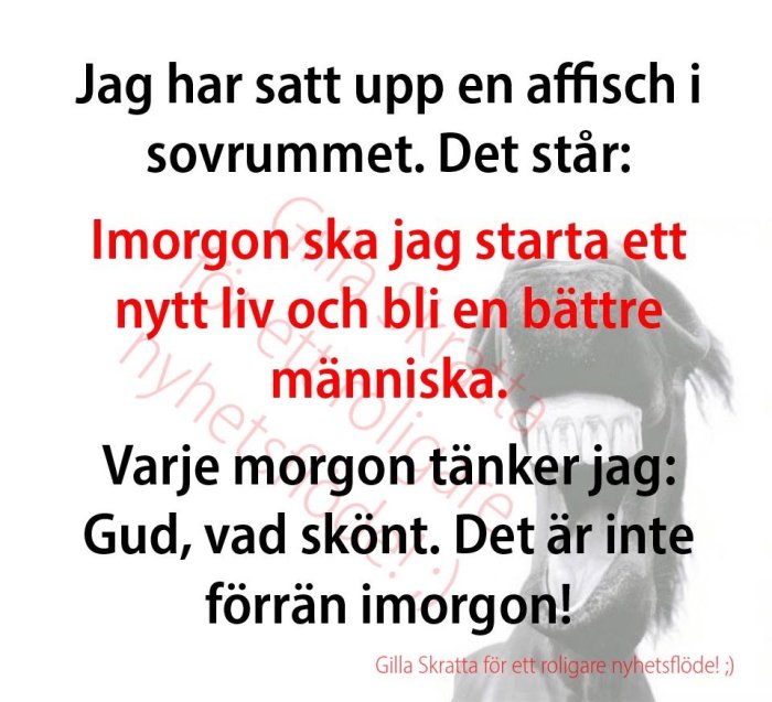 Affisch med text om att börja ett nytt liv och skjuta upp det till imorgon, humoristisk ton, delvis i rött.