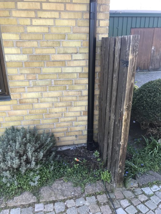 Husvägg med elektrisk installation och växtlighet längs en potentiell kabelväg för växthusprojekt.