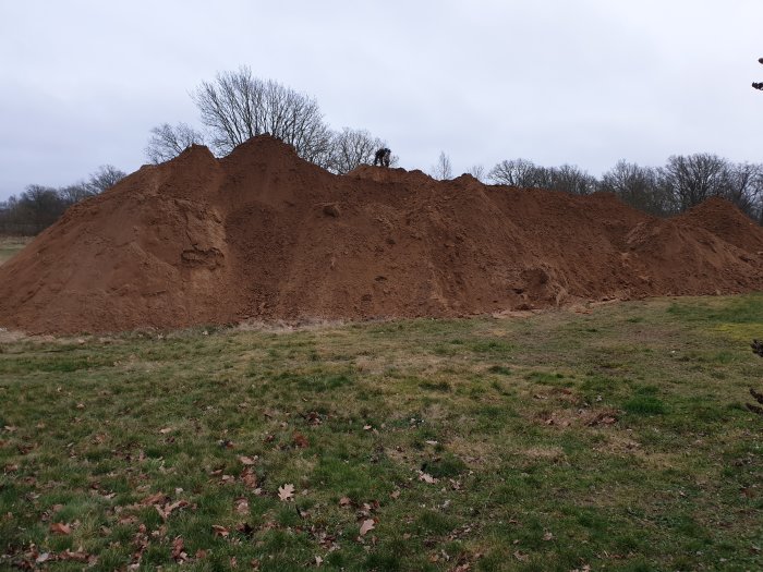 Enorm hög med sand på en gräsplan, resultatet av missförstånd om mängden sand för ett avloppsbygge.