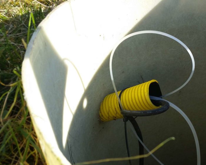 Gul markslang med skarv på signalkabel, uppstucken genom brunnslockets öppning, omgiven av fukt.