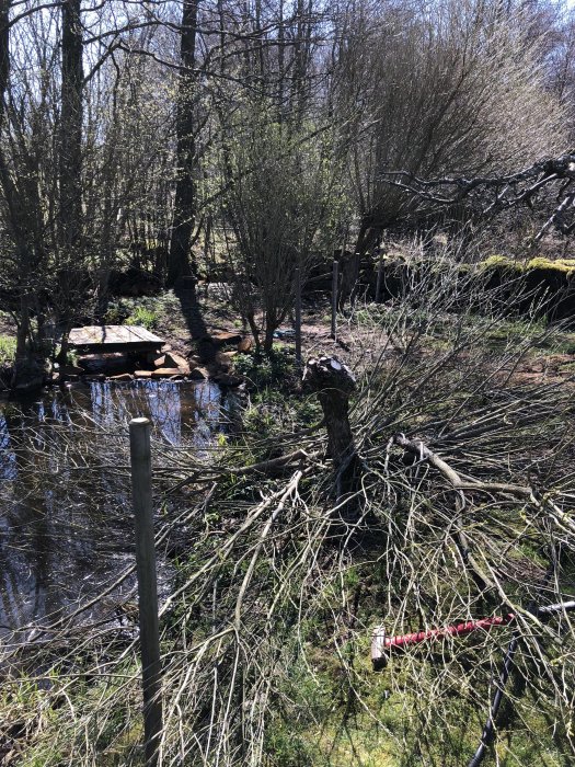 Nyligen uppsatt staket längs en damm och bäck omgiven av grönska och träd för barns säkerhet.