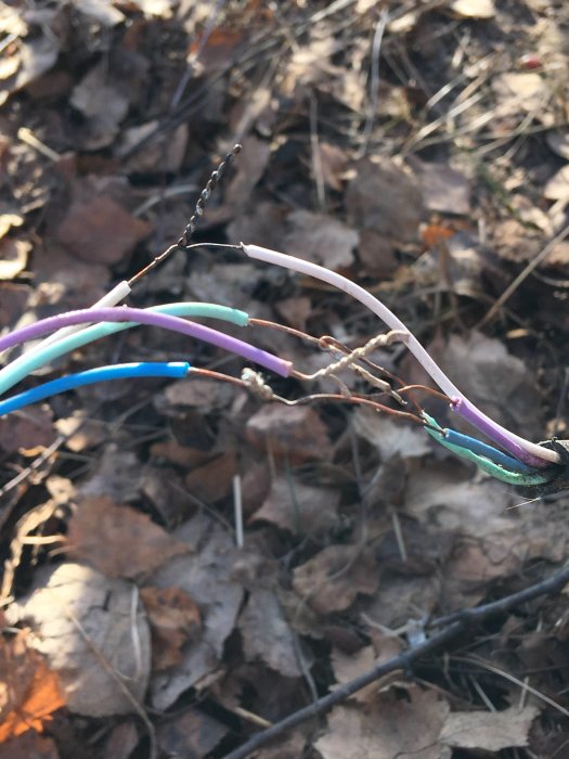 Oskärmad ihopskarvad elektrisk kabel ovanpå löv på marken.