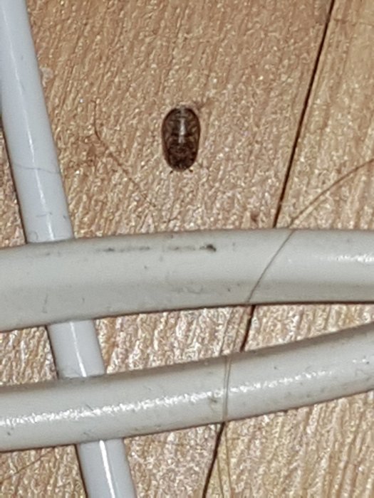 20190421_004201.jpg