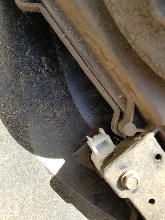20190421_140221.jpg