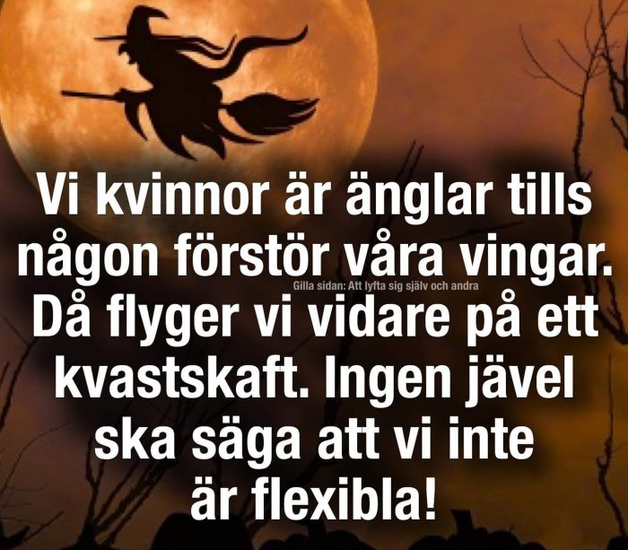 Illustration av en häxa på kvast mot fullmånen med text om kvinnors flexibilitet efter förlorade vingar.