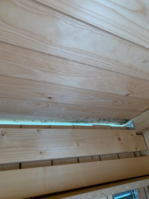 Mögelskador syns som mörka fläckar på det ljusa innertaket i en lekstuga, med träbjälkar och luftventil.