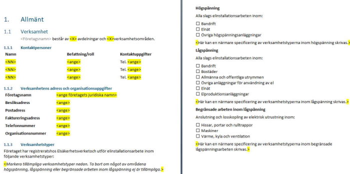 Skärmbild av en mall för Elkraftsproduktionskontroll där avsnitt fyllda med exempeltext för att guida användaren visas.