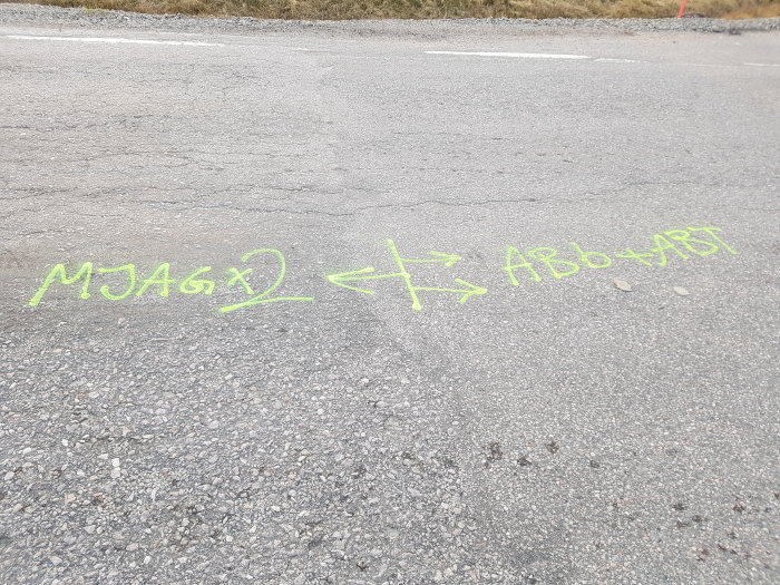 Gröna markeringar på asfalt med texten "MJÄGx2 ↔️ ABO+ABT", antagligen instruktioner för vägarbete.