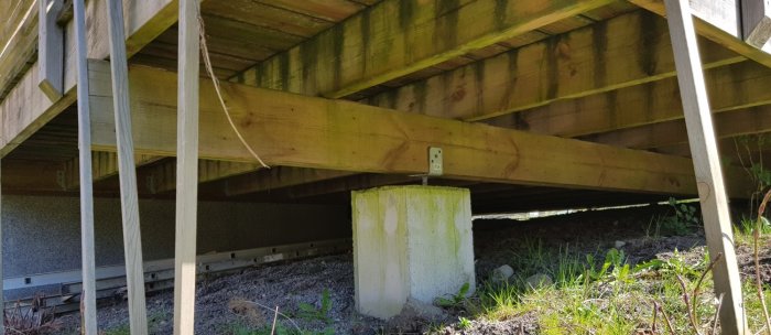 Altanens underkonstruktion med en regel på betongplintar, synliga träbjälkar och golvbrädor ovanifrån.