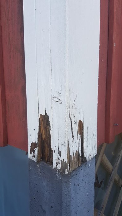 Råtten del av en hvitmålt trepelar på veranda, med synlig råte i de nederste 30 cm, fuktig og flasset maling, omgitt av rødfarget vegg.