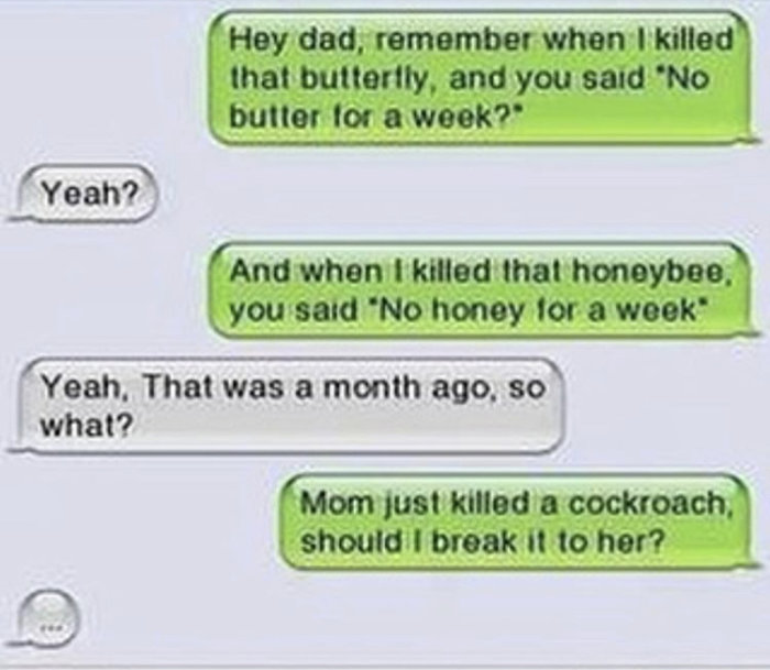 Skärmavbild av en textkonversation som skämtsamt diskuterar konsekvenser av att döda insekter.