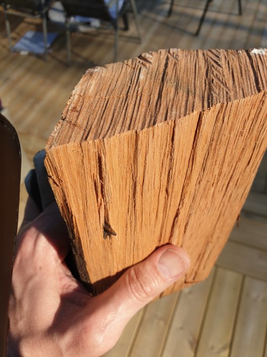 Närbild på en persons hand som håller i en rödaktig trästolp med synliga årsringar.