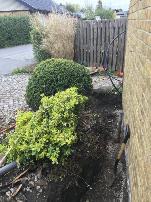 Grävd grävning längs en husvägg med synligt rör, spade lutad mot huset, och gröna buskar bredvid.