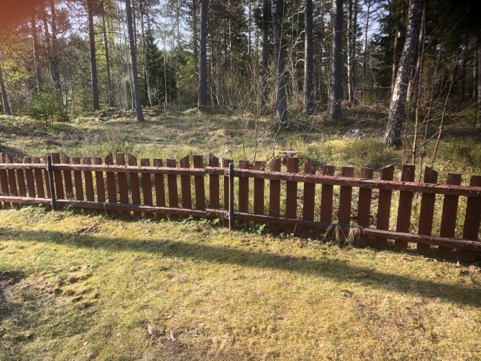 Gammalt slitet trästaket med vertikala spjälor och horisontella reglar framför en skogstomt i soligt väder.