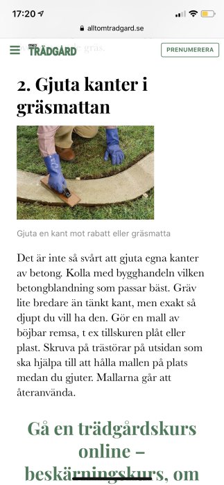 Person i trädgård gjuter en rund betongkant i gräsmattan med hjälp av en böjbar mall och trästöd.