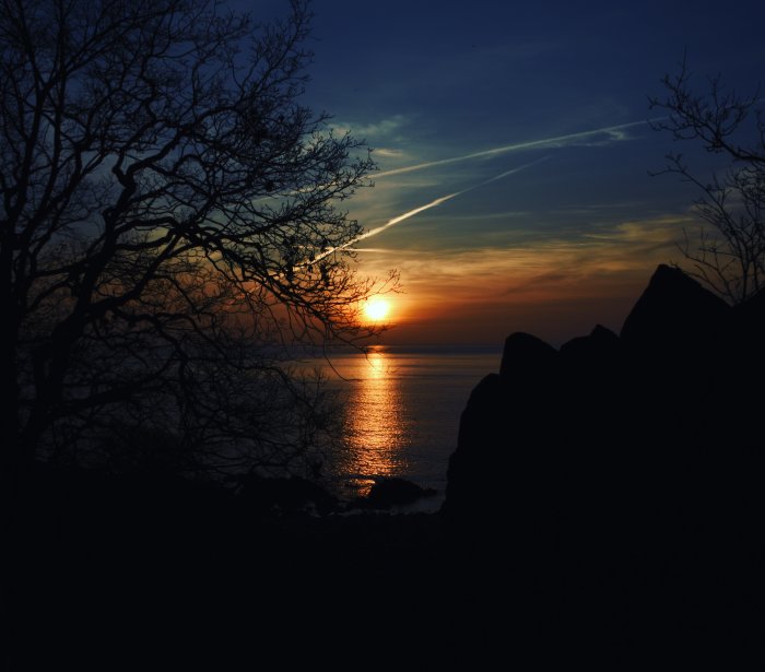 Solnedgång sett genom trädgrenar med havet och klippor i silhuett.