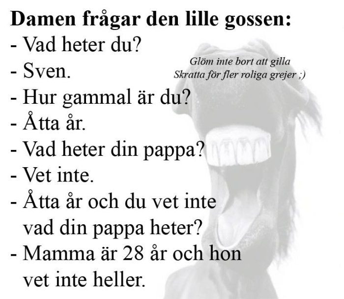 Textdialog med skämt mellan dam och pojke, överlagrad på bild av skrattande person.