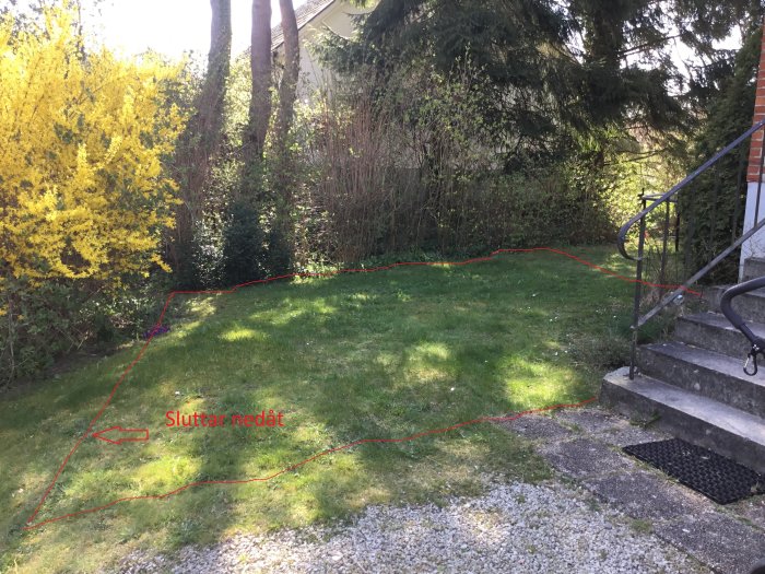 Trädgård där ett framtida trädäck är markerat bredvid trappor och gräsmatta lutandes mot en rabatt och en buske.