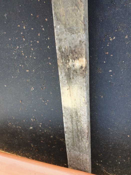 Nederdelen av en takläkt med synlig mögelpåväxt mot en svart takduk.