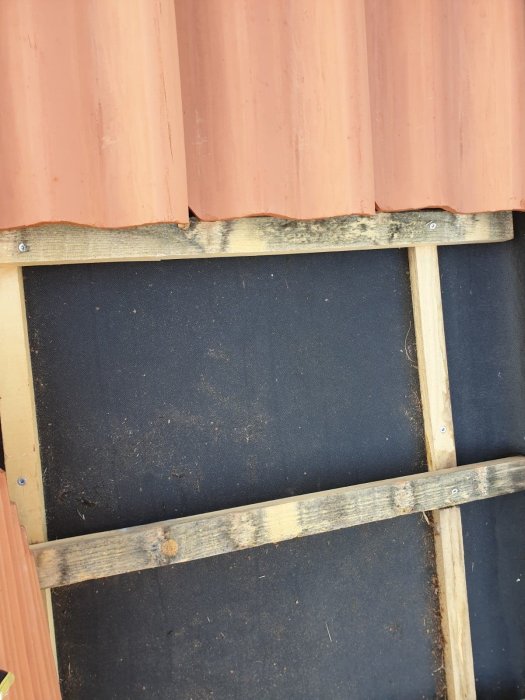 Bärläkter med mögelpåväxt under takpannor på ett nyomlagt tak.