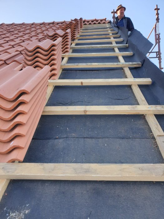 Person på tak som inspekterar nybytta vindskivor och bärläkter med mögelpåväxt.