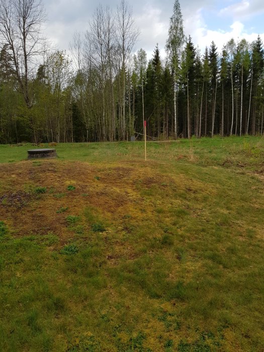 Gräsmark med en jordkulle och en röd markeringspinne, träd i bakgrunden och en grävd brunn syns delvis.