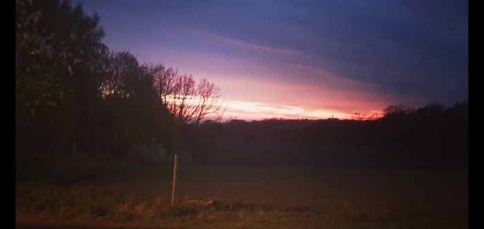 Solnedgång över ett fält med silhuetter av träd och skog mot en himmel i lila och rött.