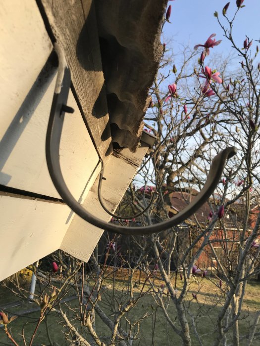 Ovanlig hängrännekrok fäst vid husets takfot, synlig utan hängränna mot en bakgrund av vårblommande buskar.