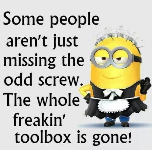 Minion i förklädnad med text "Some people aren't just missing the odd screw. The whole freakin' toolbox is gone!