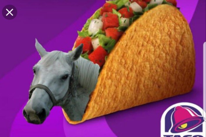 Photoshoppad bild av en häst vars huvud sticker ut från en taco.